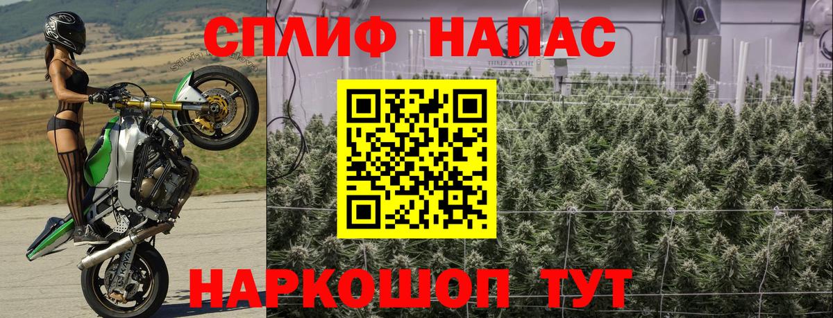 Шишки марихуана план  Канабис AK-47  Вход с VPN  МАРИХУАНА White Widow  Тула 